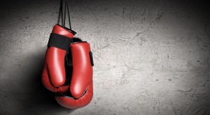 Boxing Gloves Stock Image