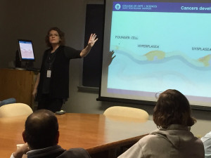 Dr. Lauren Endres kicked off the College of Arts & Sciences Works in Progress Seminar with a discussion on Reactive Oxygens in Cancer on February 10.