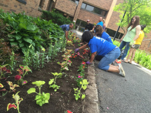 Staff members outside Kunsela Hall’s rear entrances plant flowers to help beautify the campus.