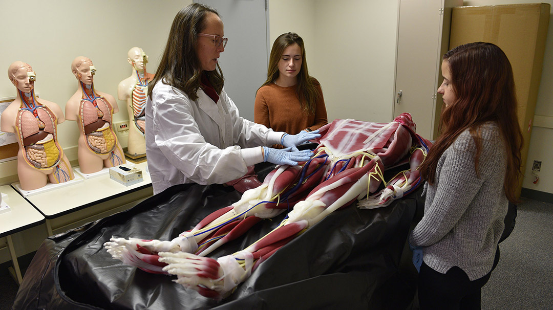 students and an instructor looking at a syndaver